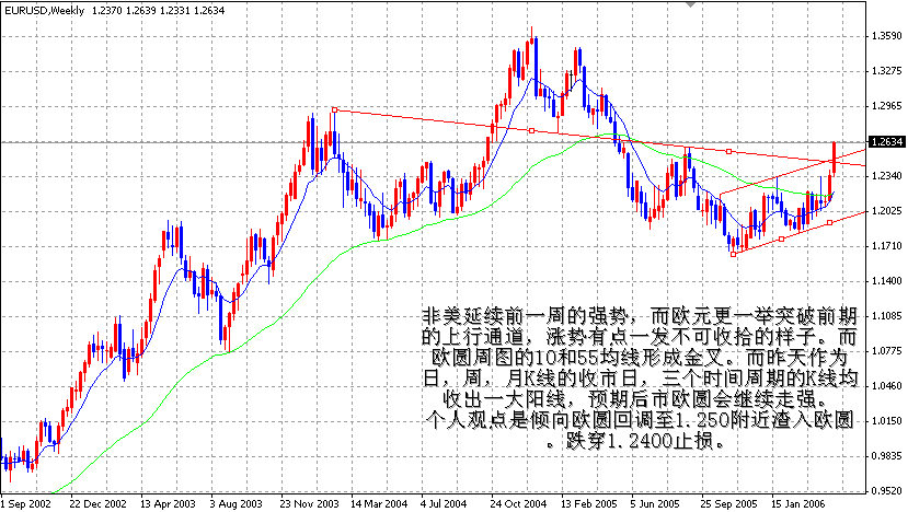 06-04-29EUR 1W.gif